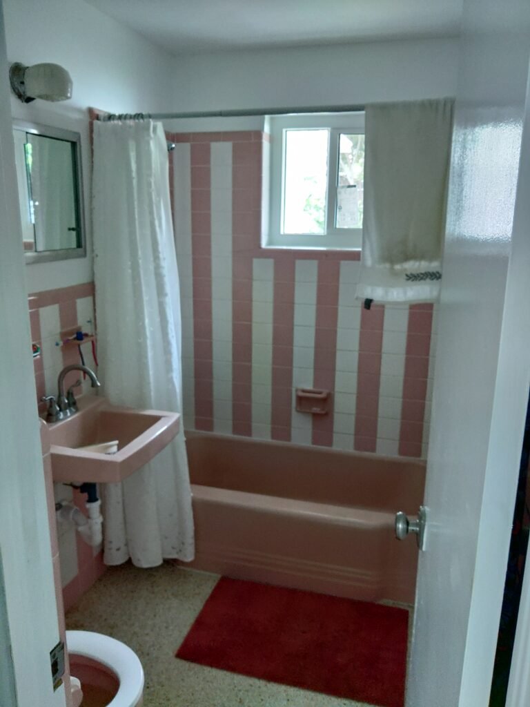 Outdated bath before demolition and debris removal.